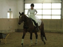 img_7927_web